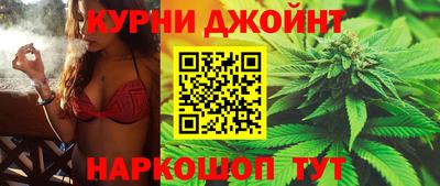 СК Кингисепп