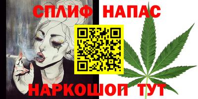 СК Кингисепп