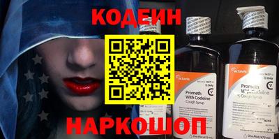 СК Кингисепп