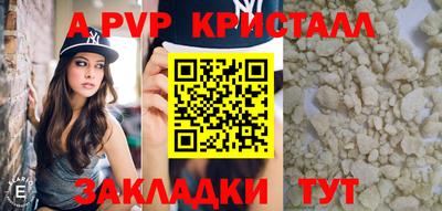 СК Кингисепп