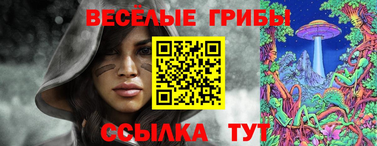 Псилоцибиновые грибы мицелий Ишимбай