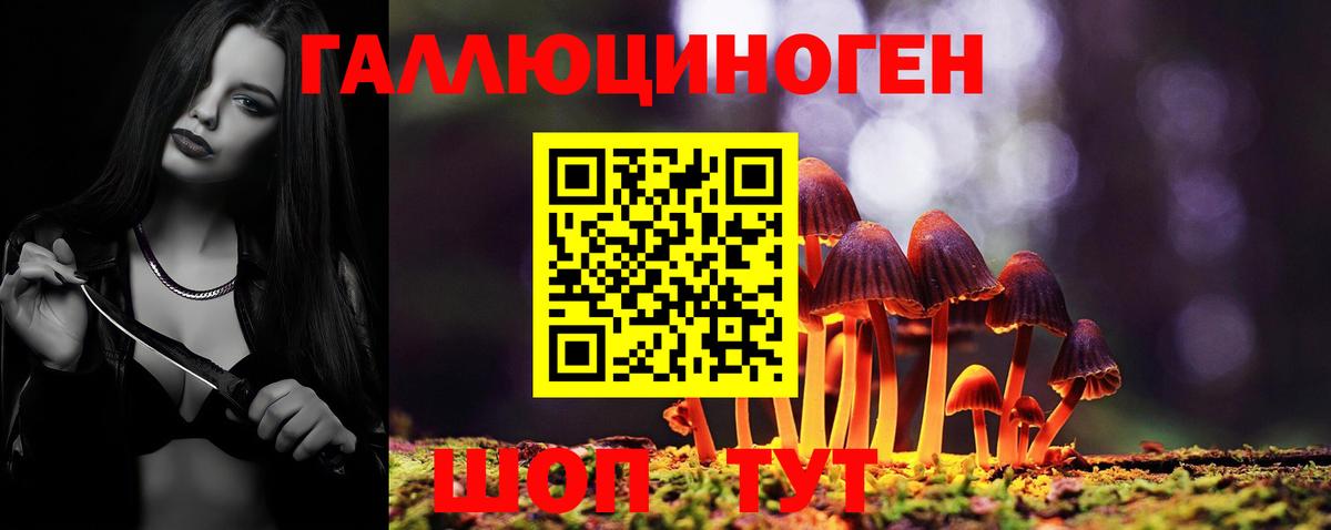 Галлюциногенные грибы GOLDEN TEACHER  Вход с VPN  Ишимбай 